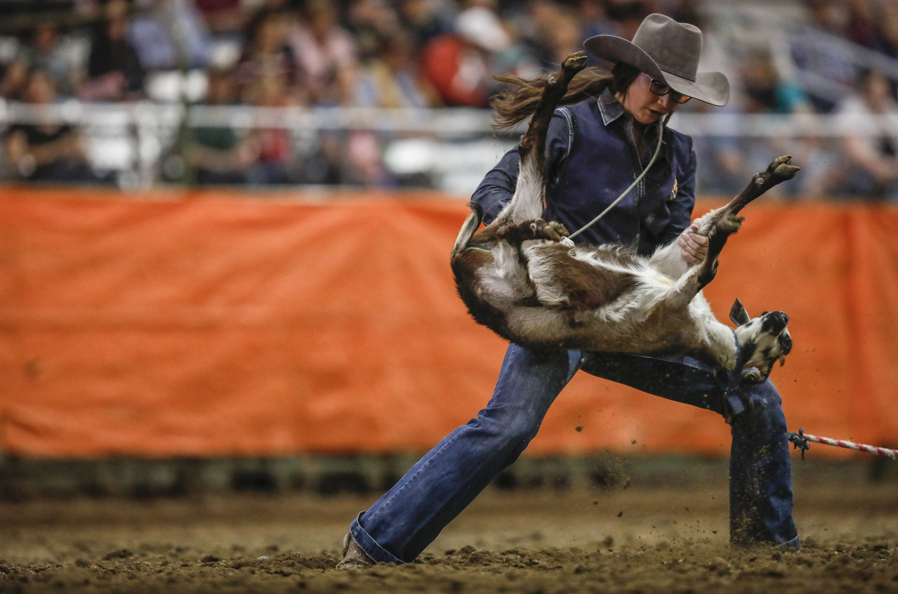 Ropin' and Riggin' Days